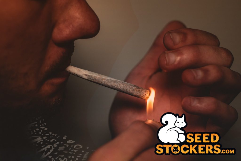 fumar marihuana