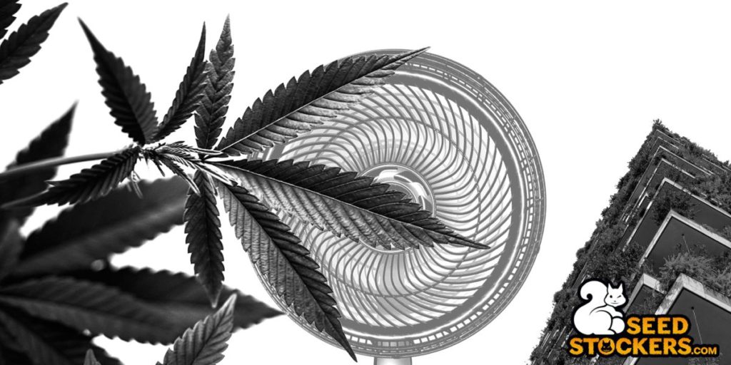 huella de carbono del cultivo de cannabis