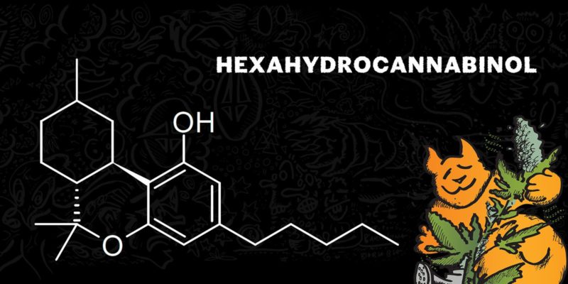 Hexahydrocannabinol (HHC), what is it?
