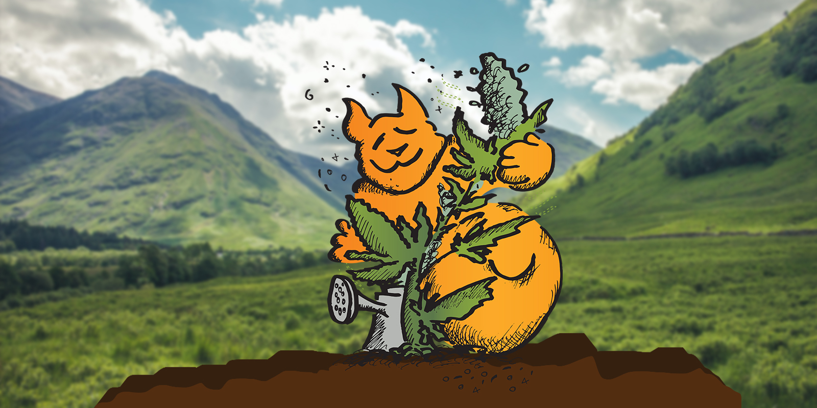 Cómo regar las plantas de cannabis