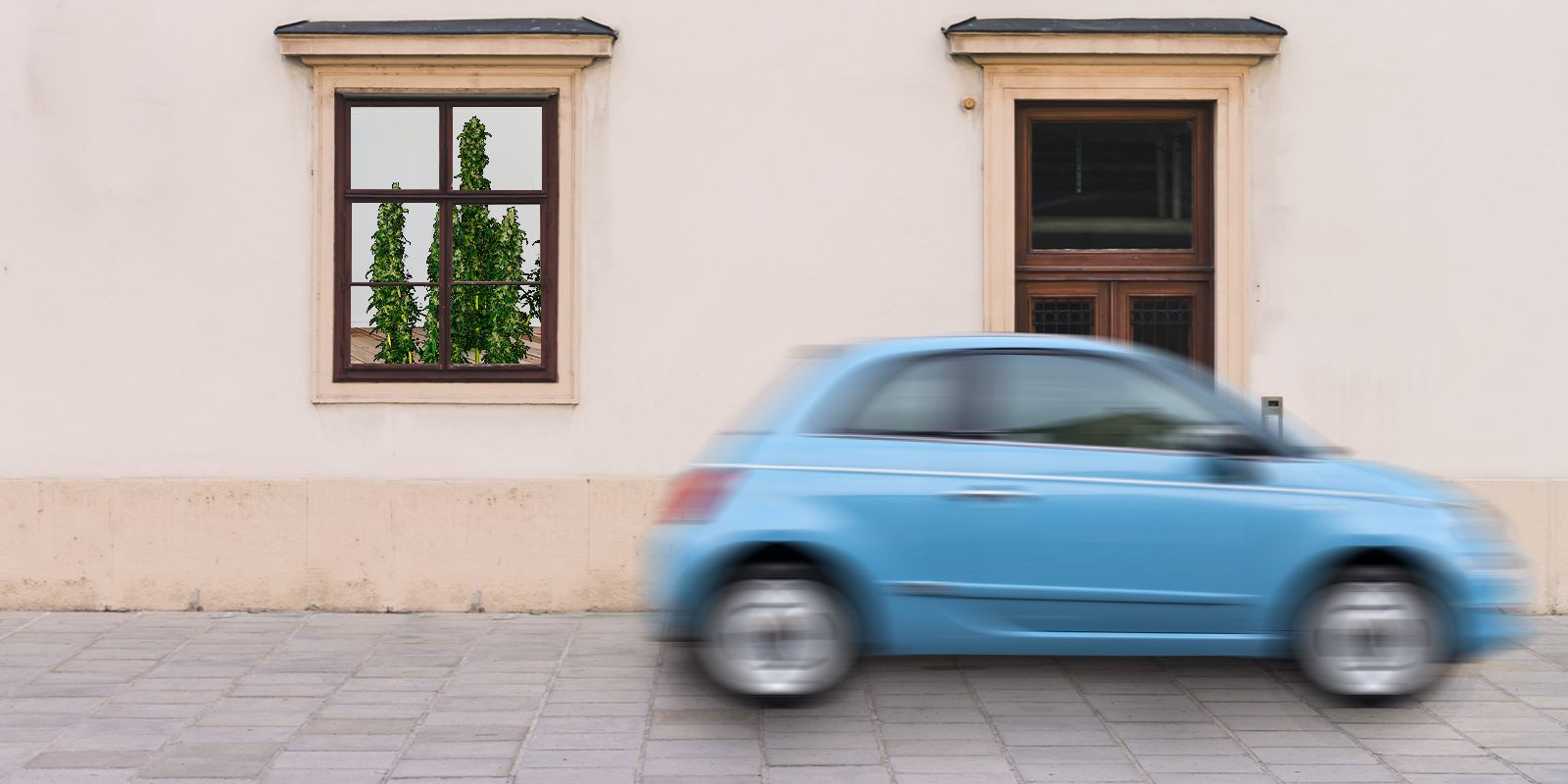 Comment gérer ses plantes quand on part en vacance