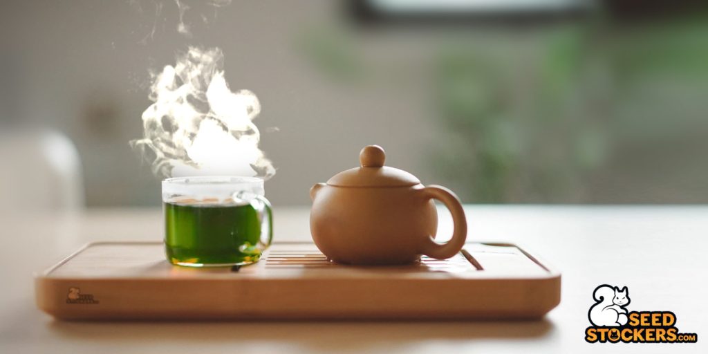 cannabis bevande infuse