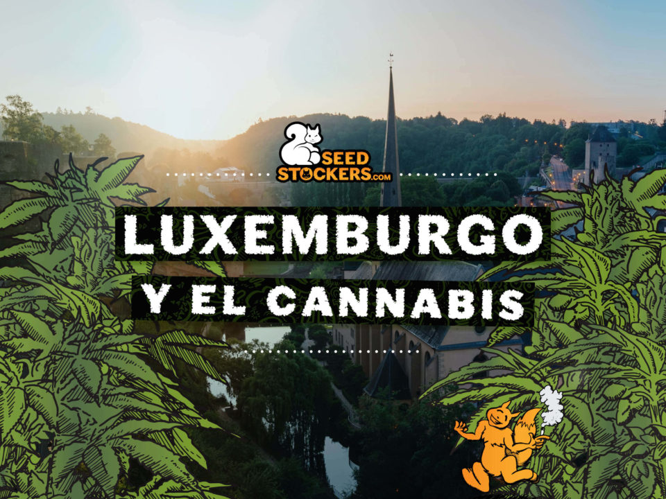 luxemburgo y el cannabis