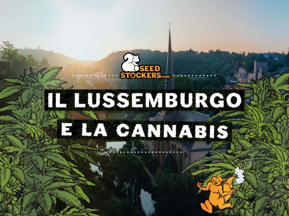 il lussemburgo e la cannabis