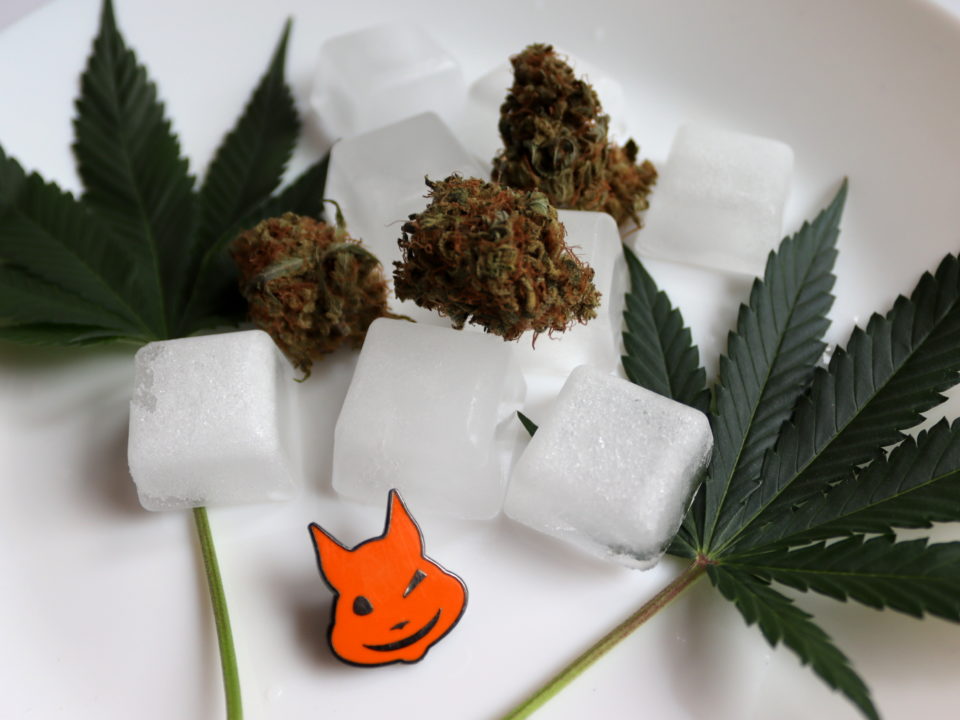 weedstockers-congelamento-cannabis