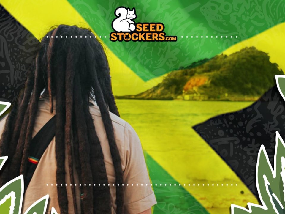 rastafari jamaica