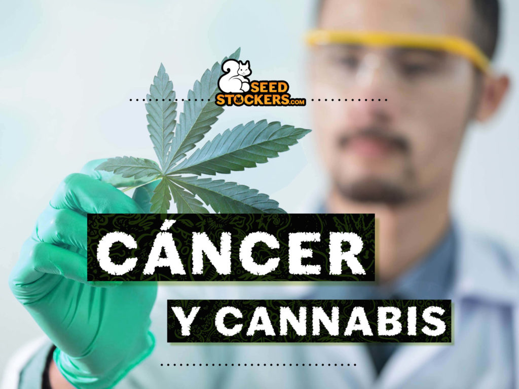 cáncer, Weedstockers