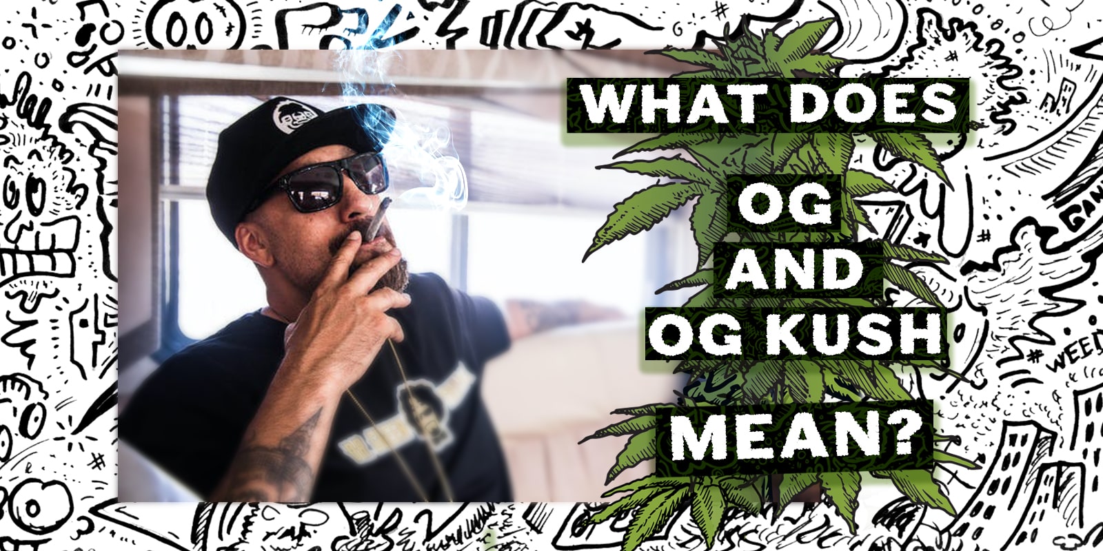 What does OG and OG Kush mean? Weedstockers