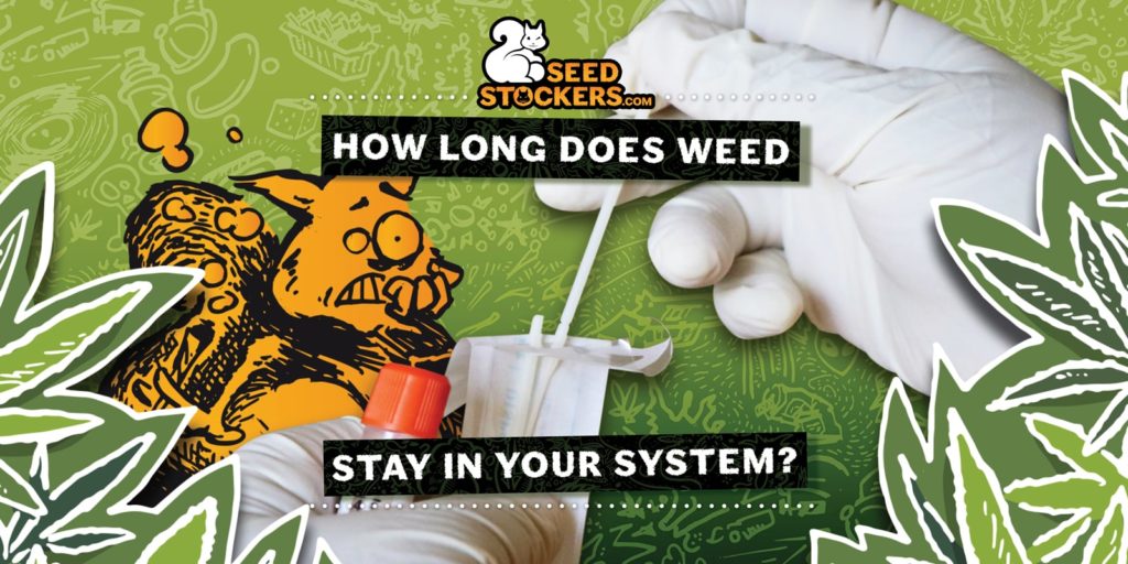system, Weedstockers
