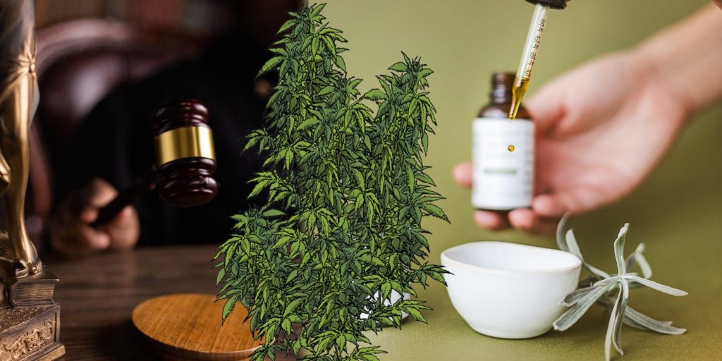 medical cannabis, Weedstockers